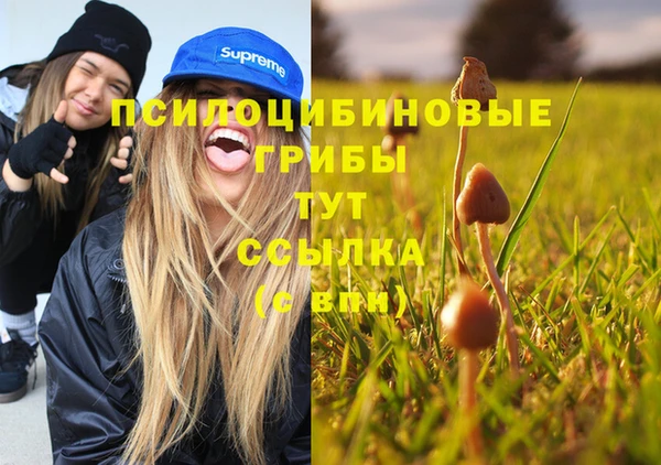 не бодяженный Алзамай